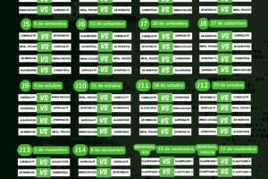 Calendario Actualizado UNIFFUT